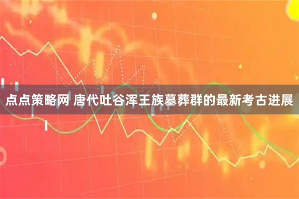 点点策略网 唐代吐谷浑王族墓葬群的最新考古进展